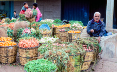 fruit and vegetable gross market Casablanca Morocco, 1991.
