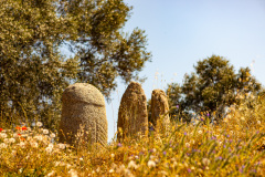 Statue-menhir, symbole phalique, Site Préhistorique de Filitosa