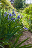 Jardin de Claude Monet à Giverny, Eure, France.