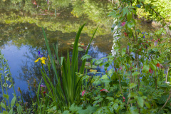 Jardin de Claude Monet à Giverny, Eure, France.