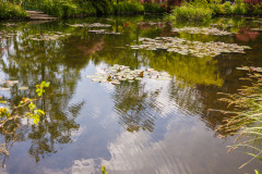 Jardin de Claude Monet à Giverny, Eure, France.