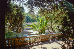 Les jardins de Nimes