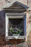 Fenêtre grillagée et fleurie dans Castello, Venise, Italie.